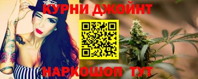 шишки Новокубанск