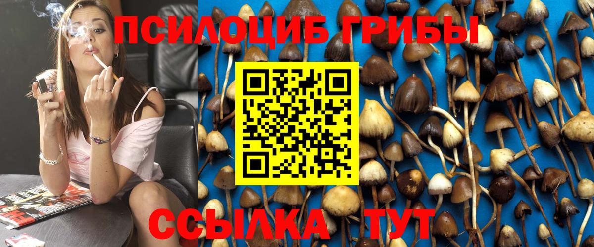 Псилоцибиновые грибы Magic Shrooms Ставрополь