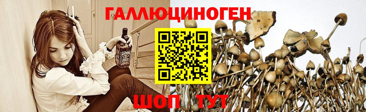 Ставрополь  Псилоцибиновые грибы MAGIC MUSHROOMS  Галлюциногенные грибы ЛСД  Вход с VPN 
