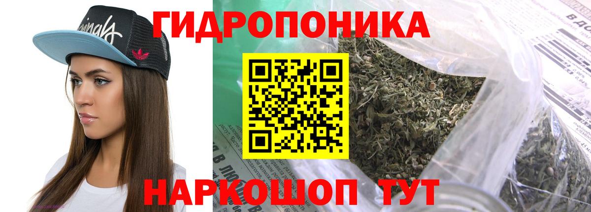 Бошки марихуана план  Вход с VPN  Конопля Amnesia  Шишки марихуана семена  Ставрополь 